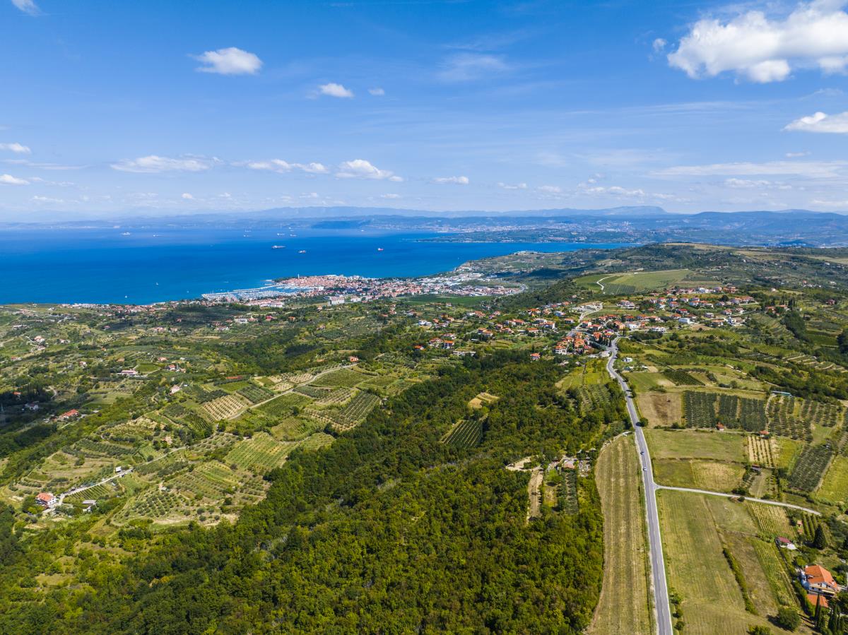 Občina Izola (Kleva, 2022)